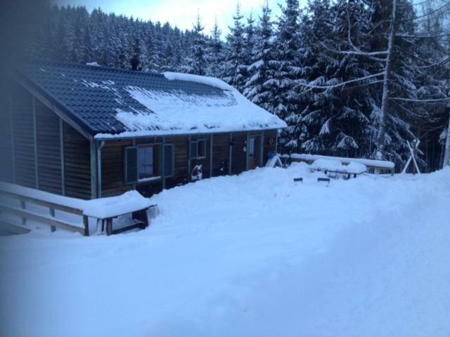 Chalet Le Grand Cerf Büllingen Exterior foto